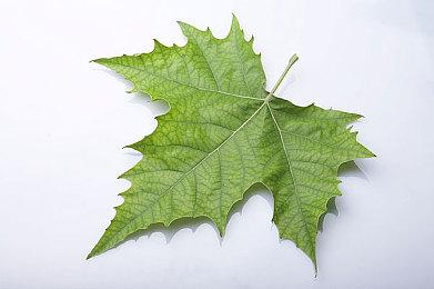 《健身拳击2》推出免费更新 新教练“Guy”上线